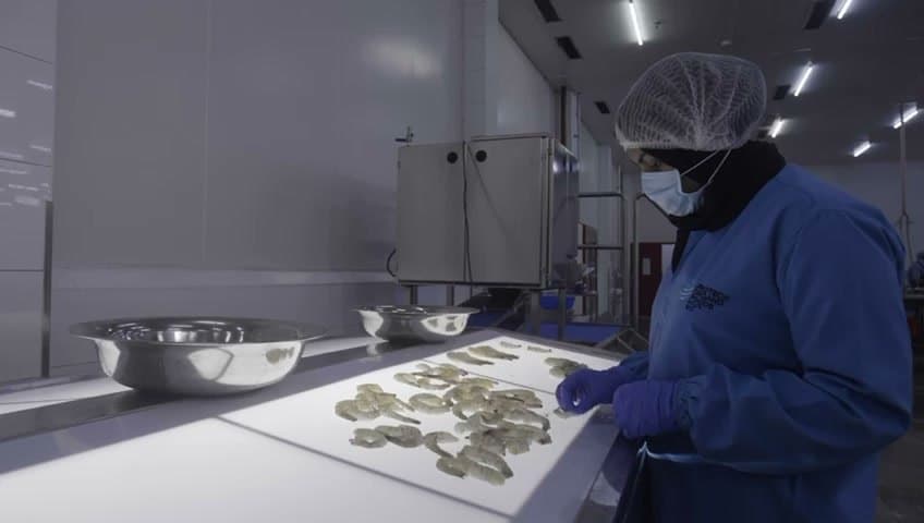 Protech seafood processing facility