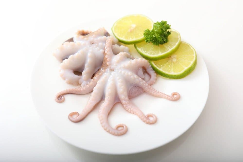 Cleaned octopus on ice, holding its bite and its shape